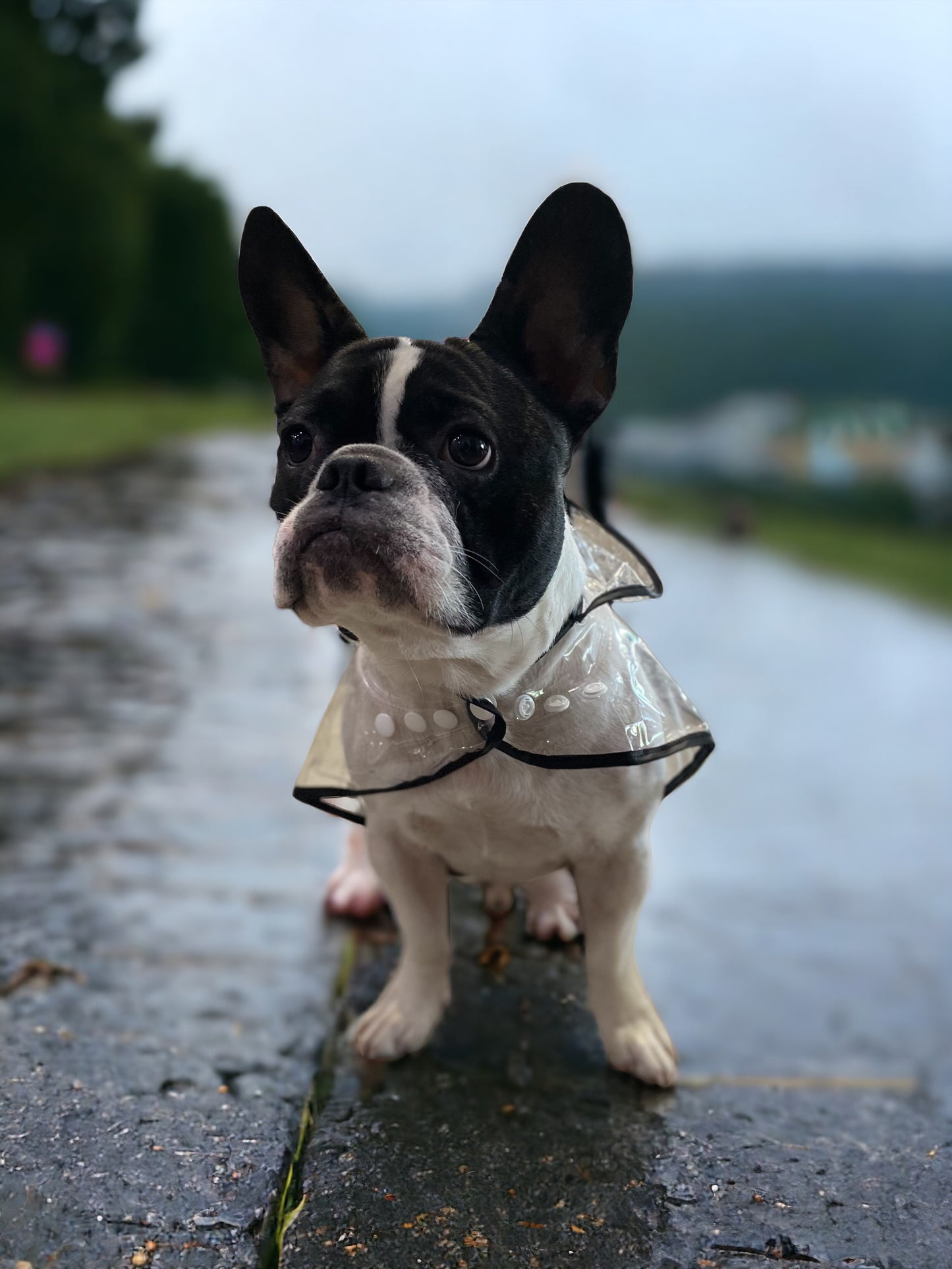 Raincoat - Black