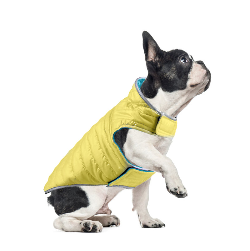 Double Trouble Reversibles - Blue/ Yellow Jacket