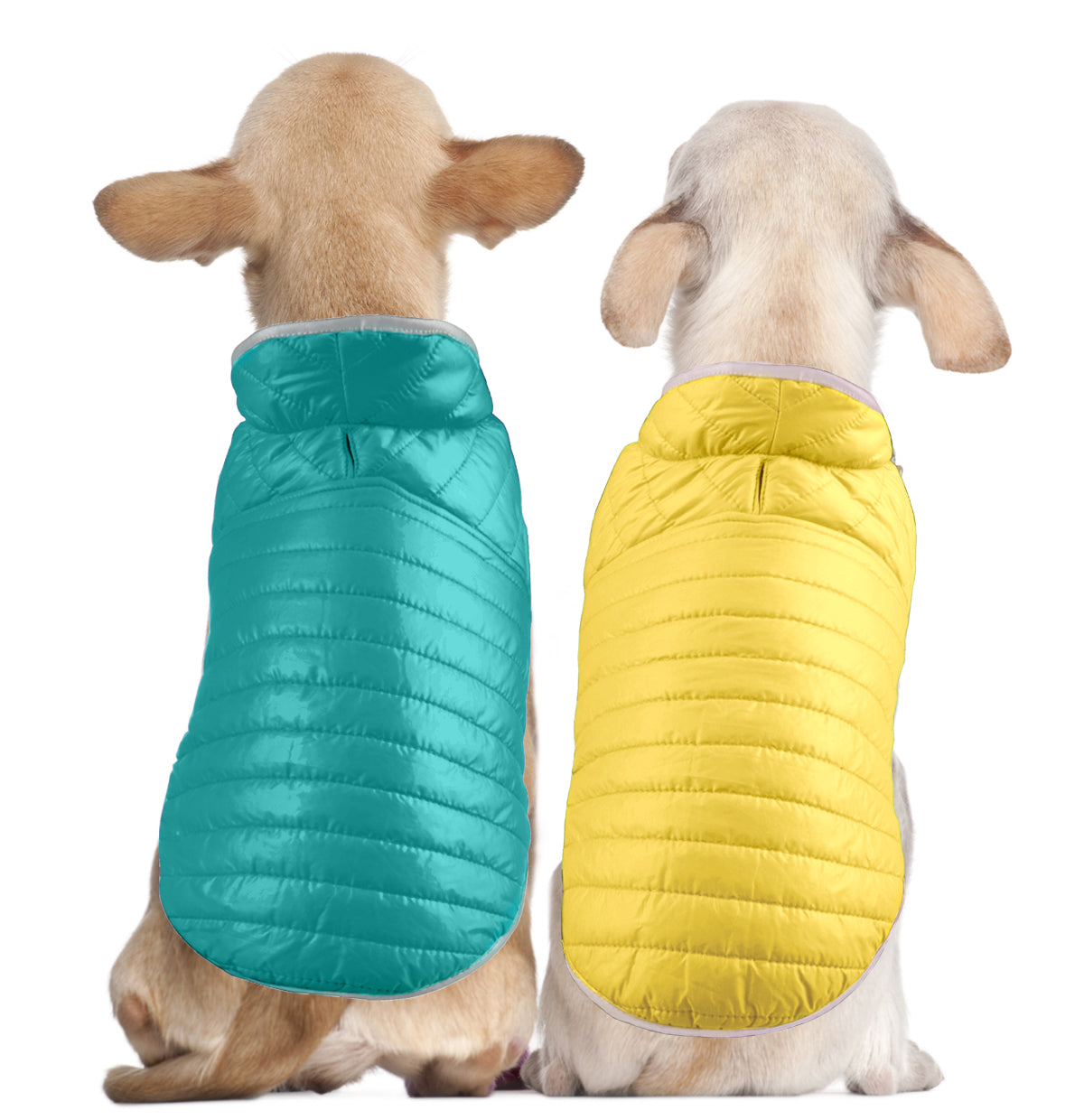 Double Trouble Reversibles - Blue/ Yellow Jacket