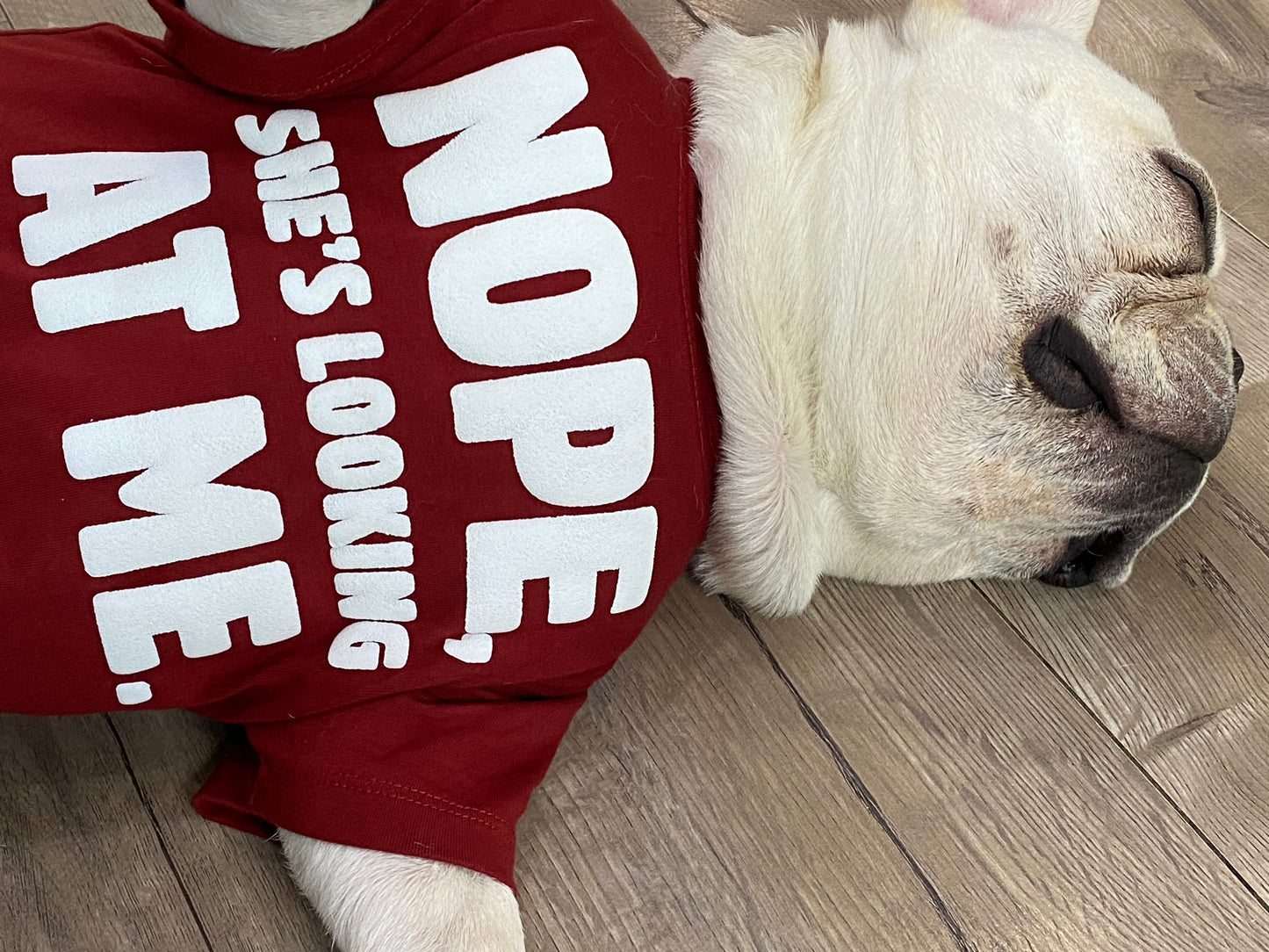 Nope She Is Looking At Me Dog Tee