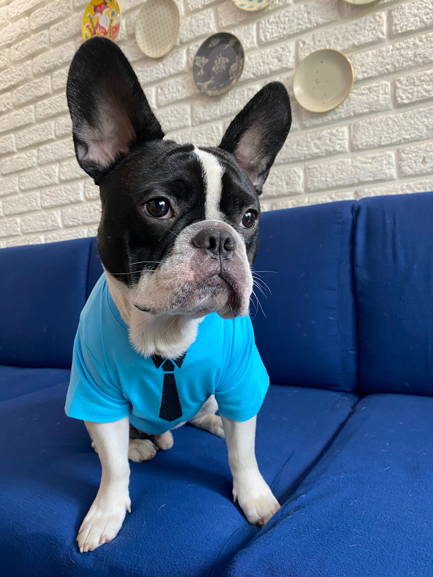 Gentleman Dog Tee