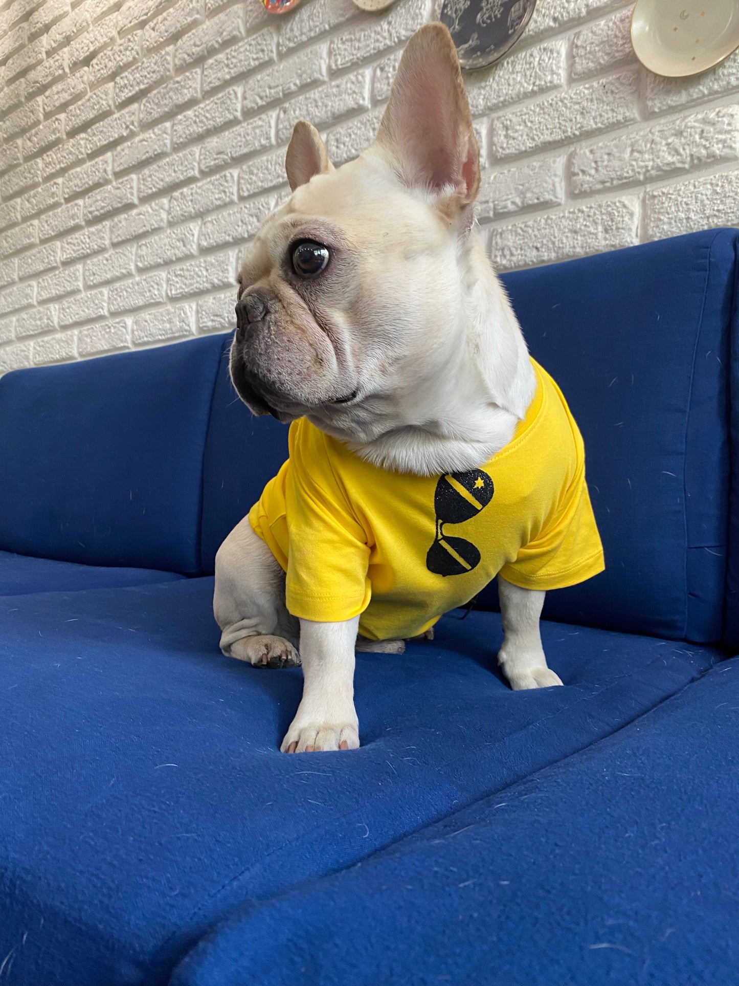 Dude Dog Tee