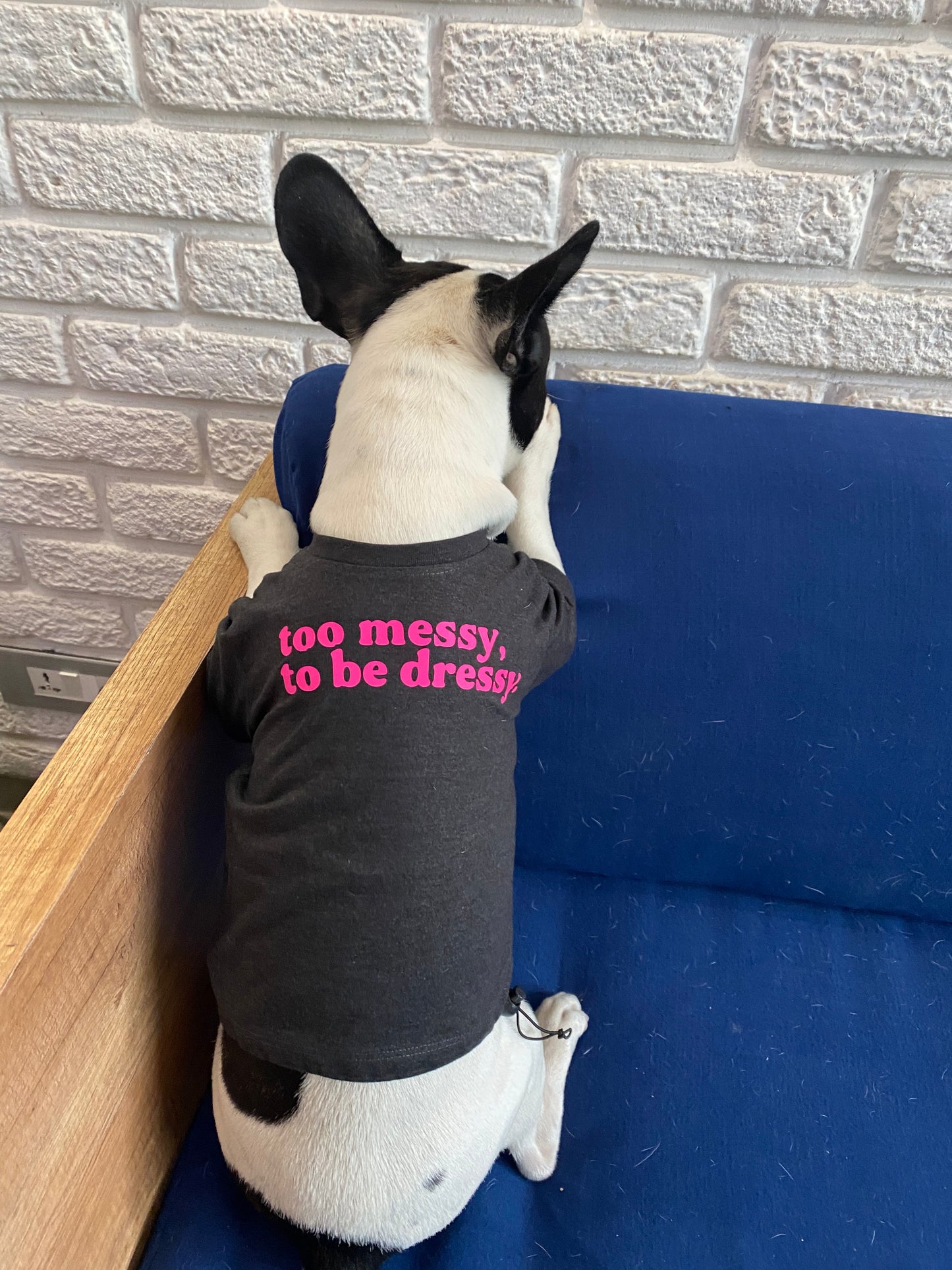 Too Messy To Be Dressy Dog Tee