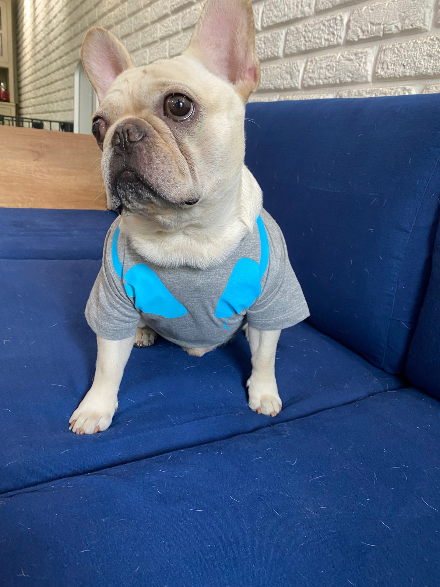 Hip Hop Dog Tee