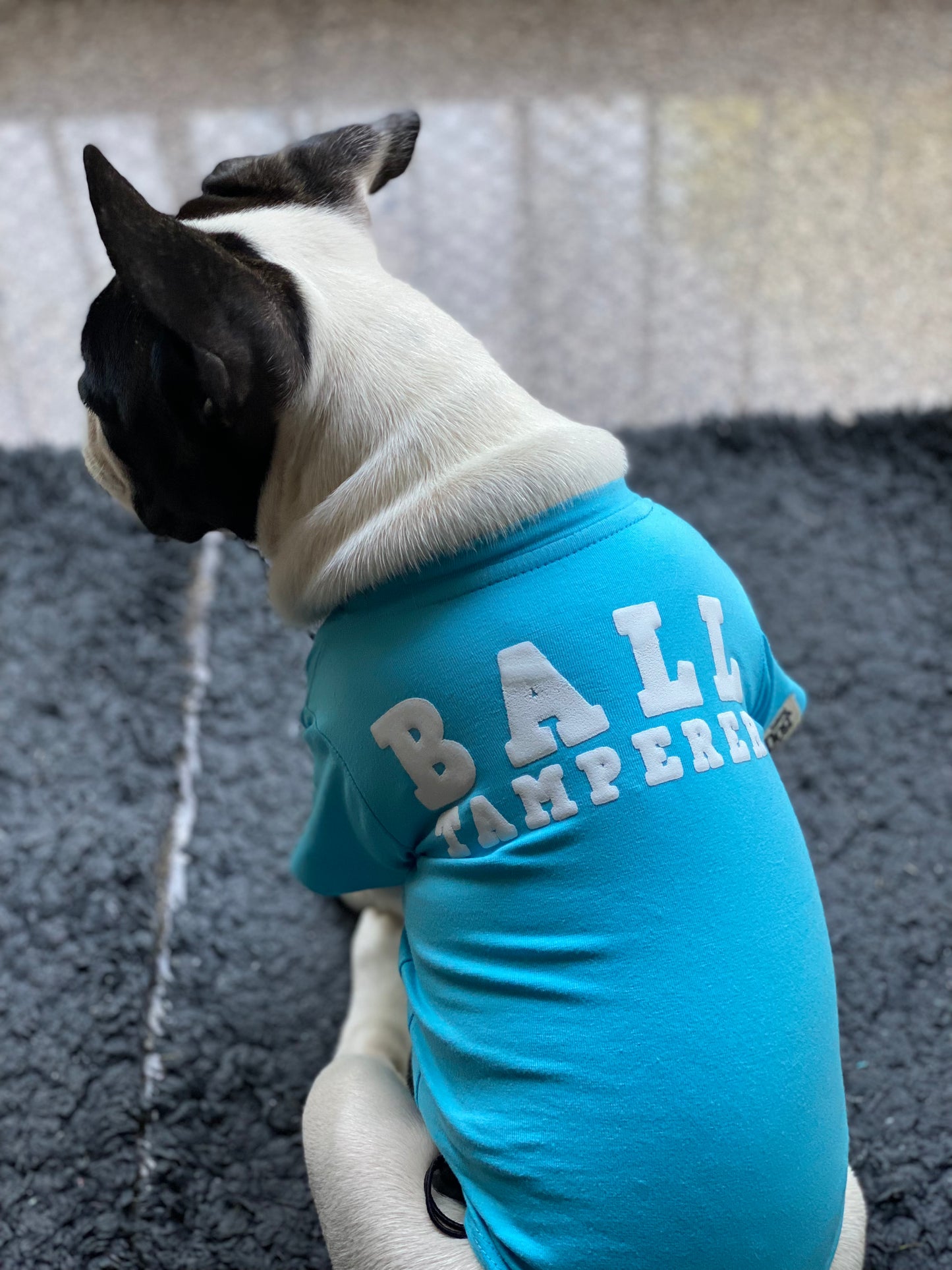 Ball Tamperer Dog Tee