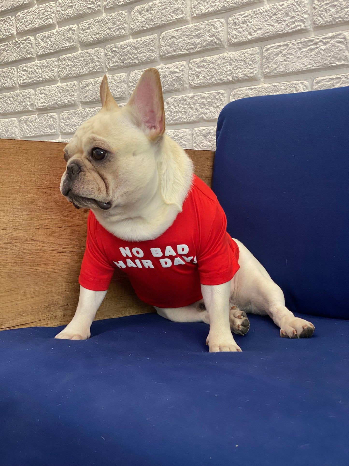 No Bad Hair Days Dog Tee