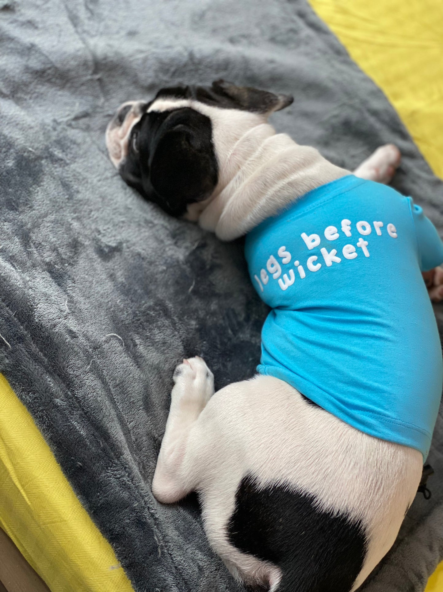 Legs Before Wicket Dog Tee