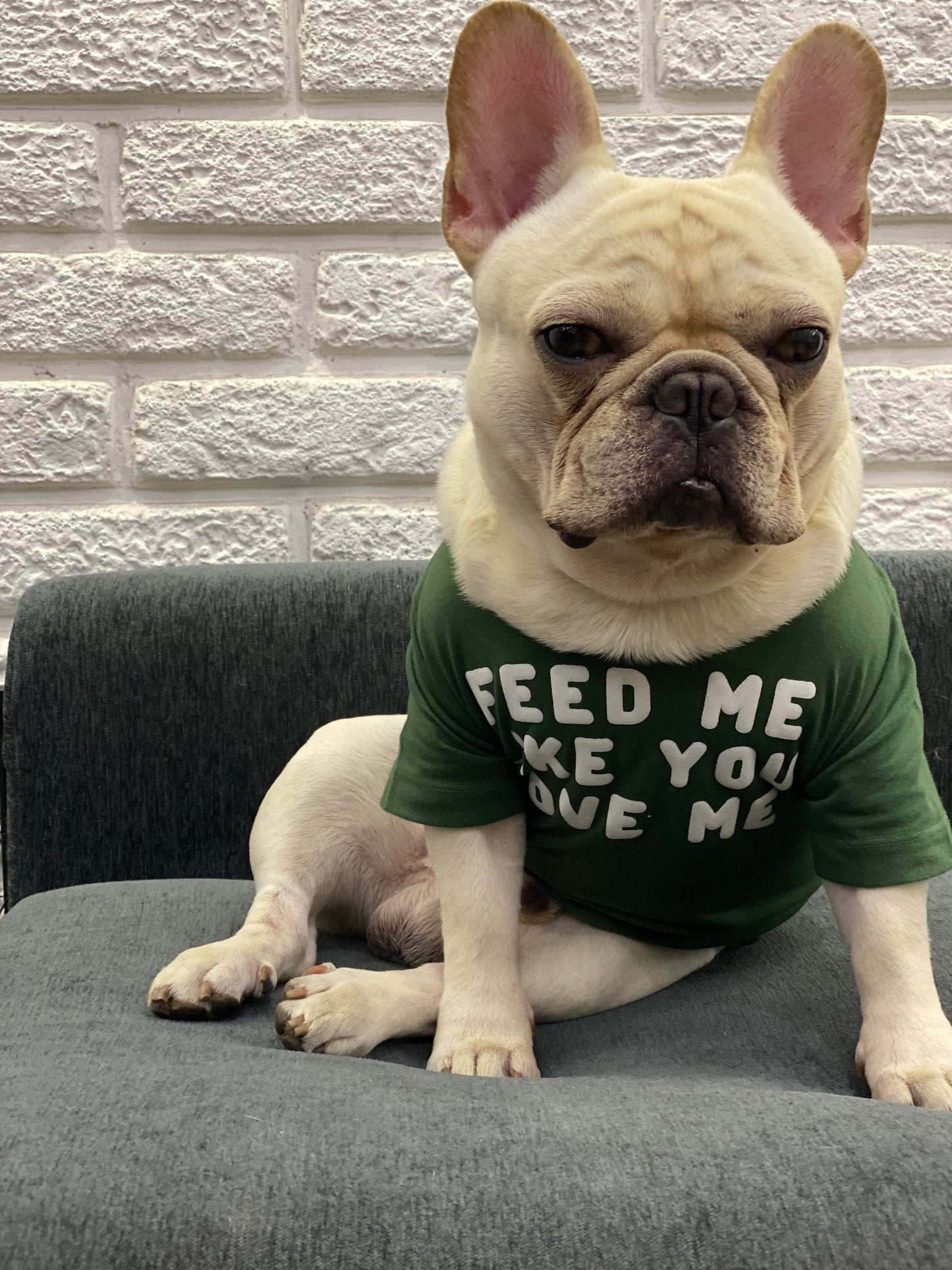 Feed Me Like You Love Me Dog Tee