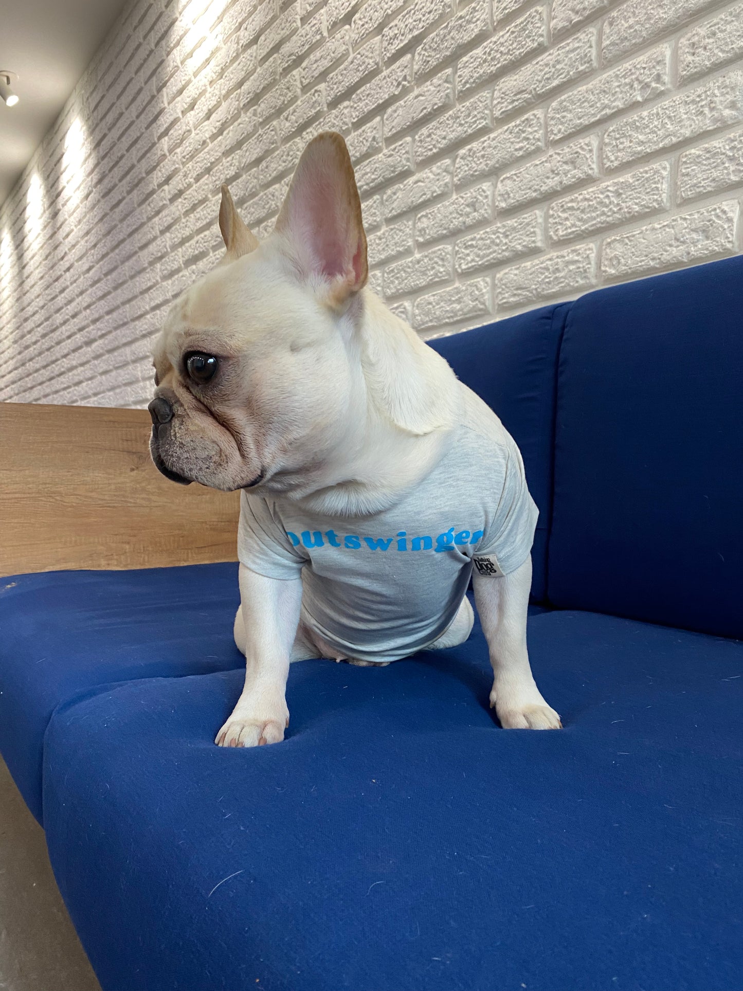 Outswinger! Dog Tee