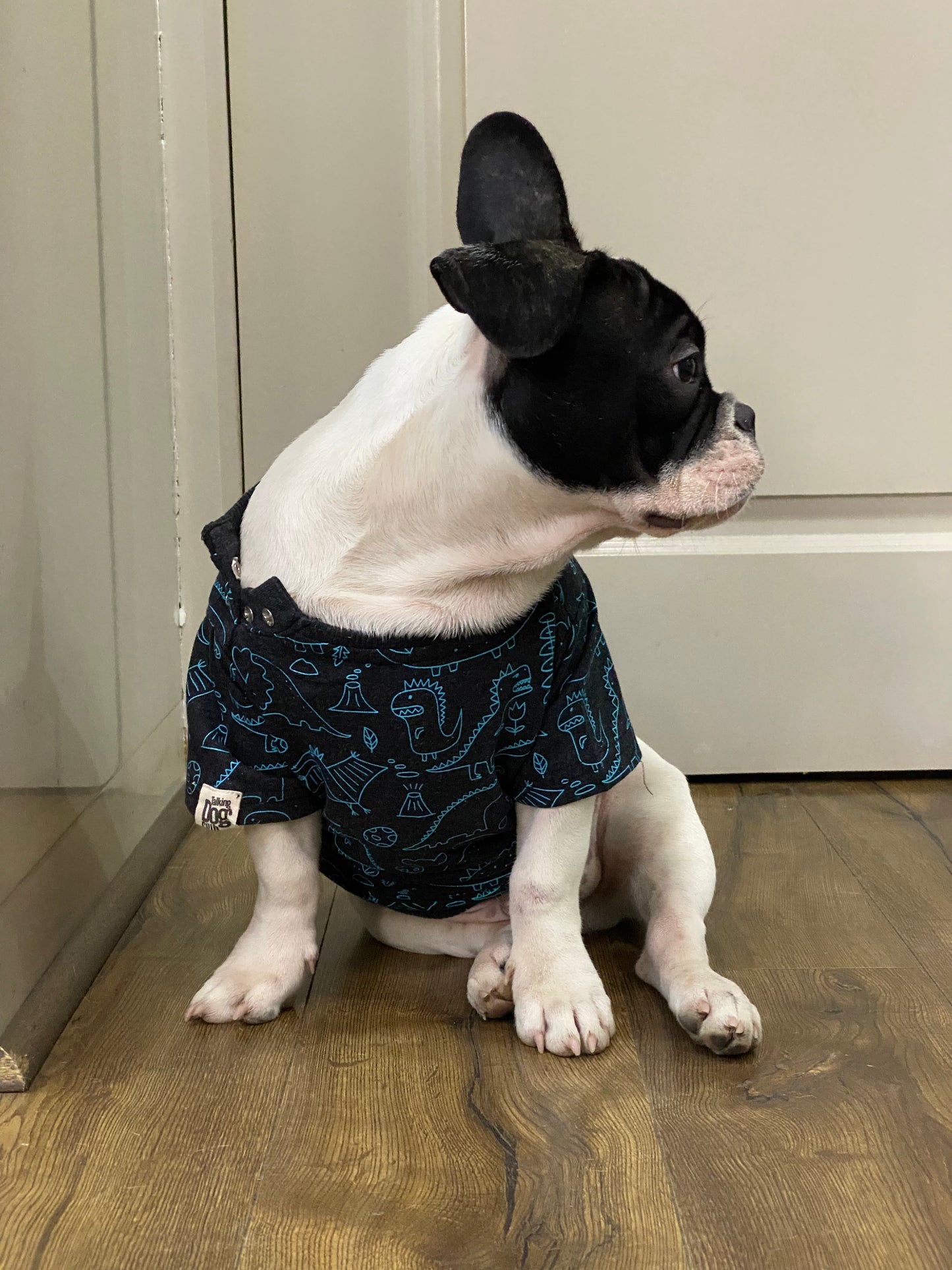 Dino Doggy Warmer