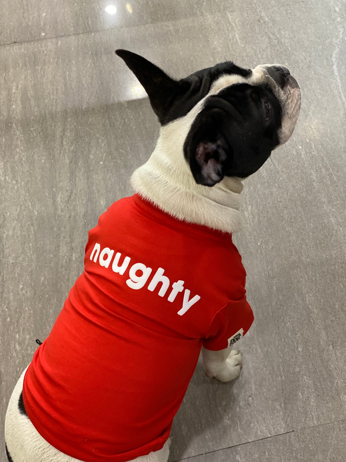Naughty Christmas Dog Tee