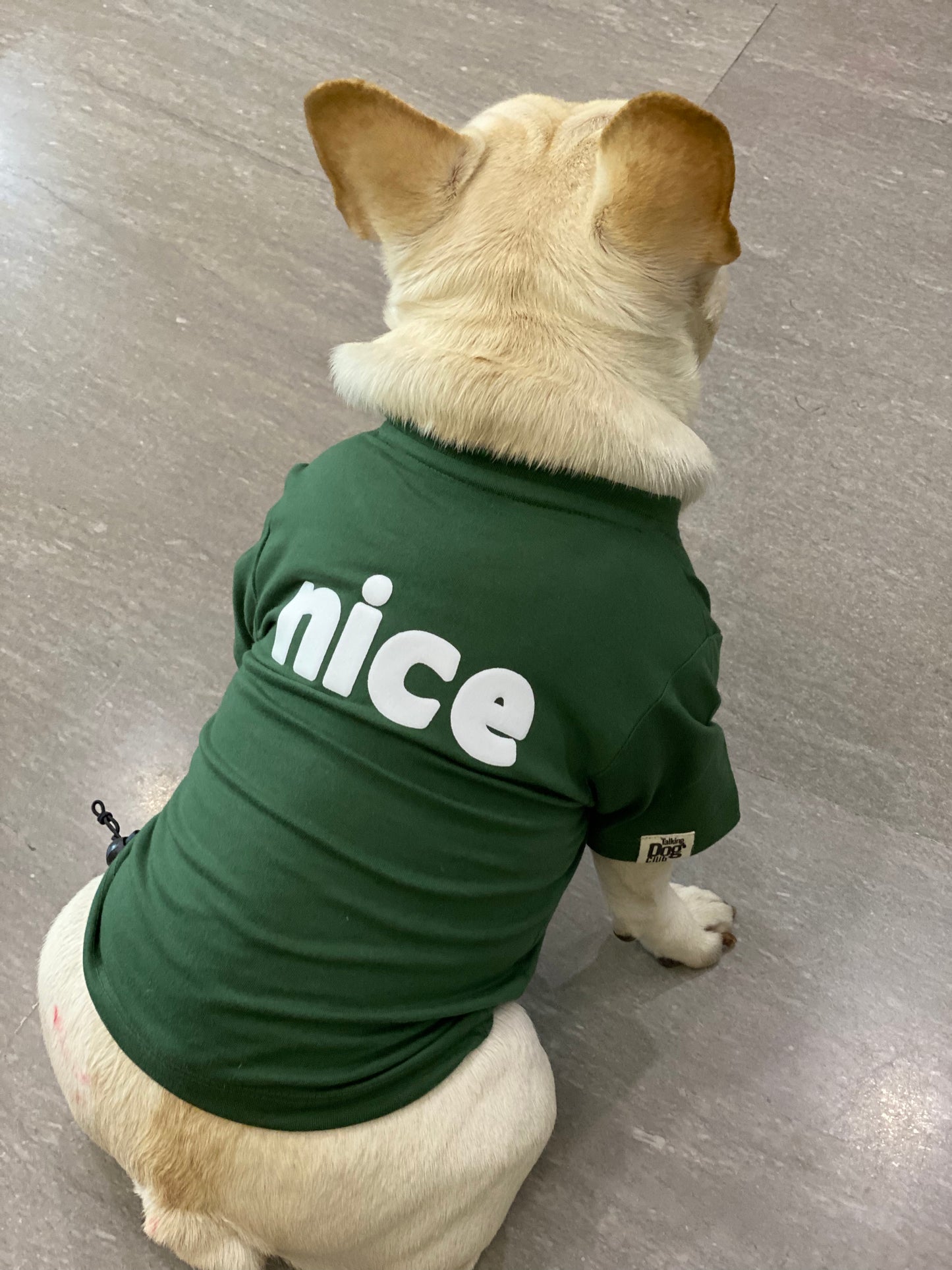 Nice Christmas Dog Tee