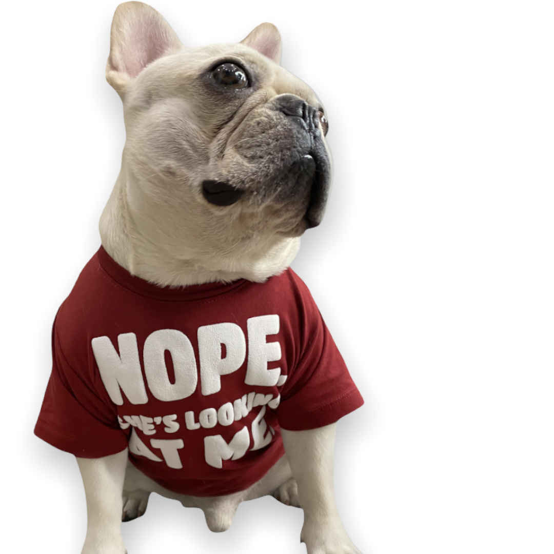 Nope She Is Looking At Me Dog Tee