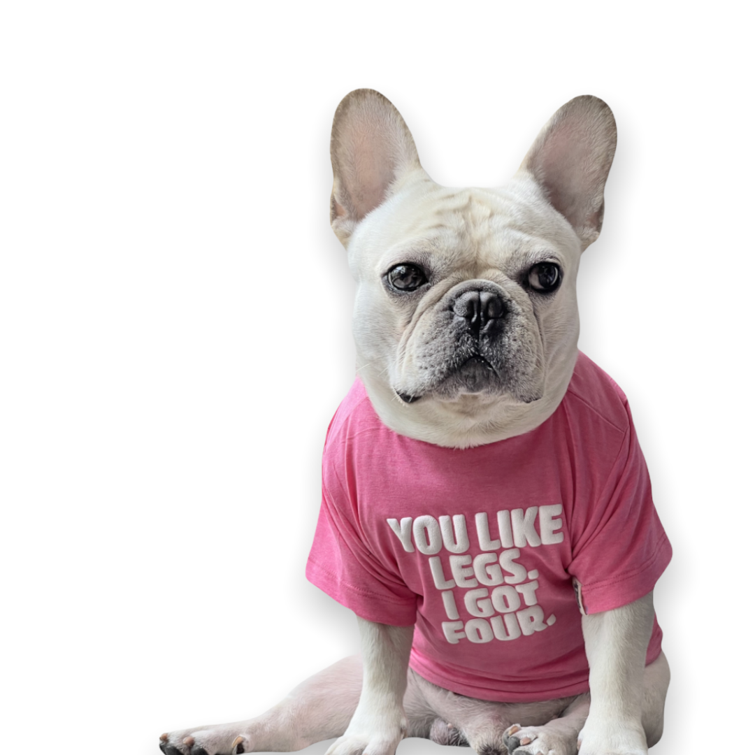 You Like Legs. I Got Four Dog Tee