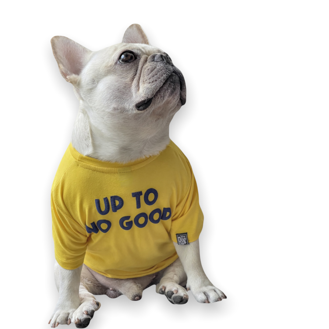 Up To No Good Dog Tee