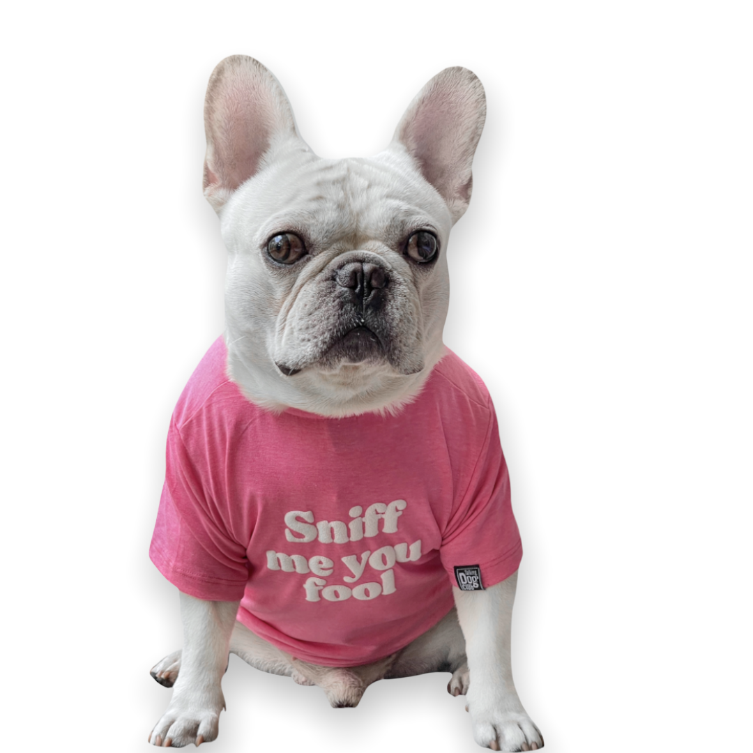 Sniff Me You Fool Dog Tee