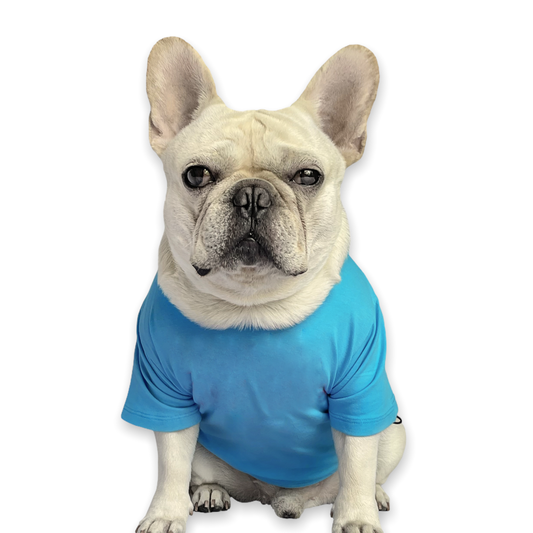 Buddy Light Blue Solid Dog Tee