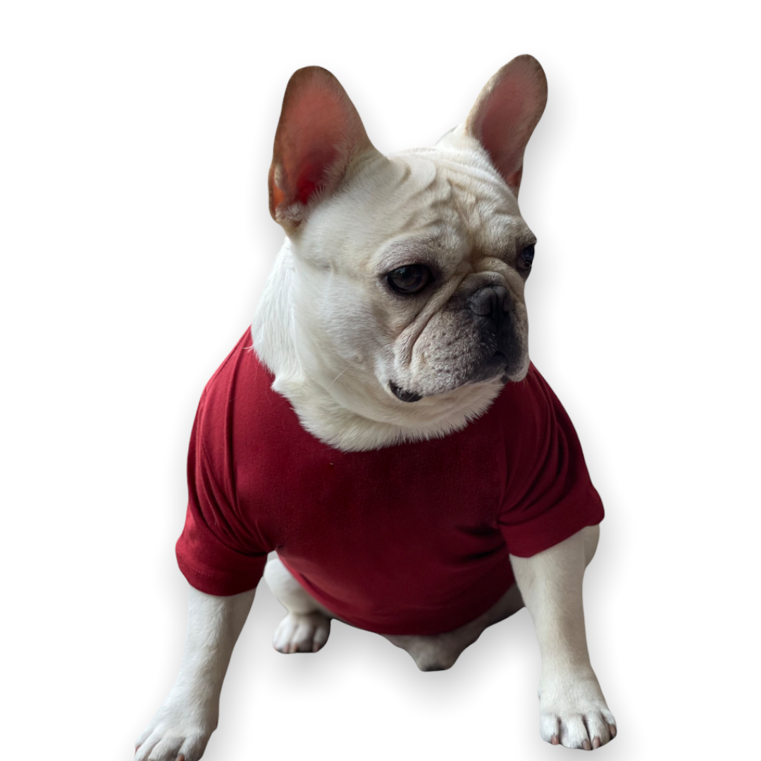 Macaroon Maroon Solid Dog Tee