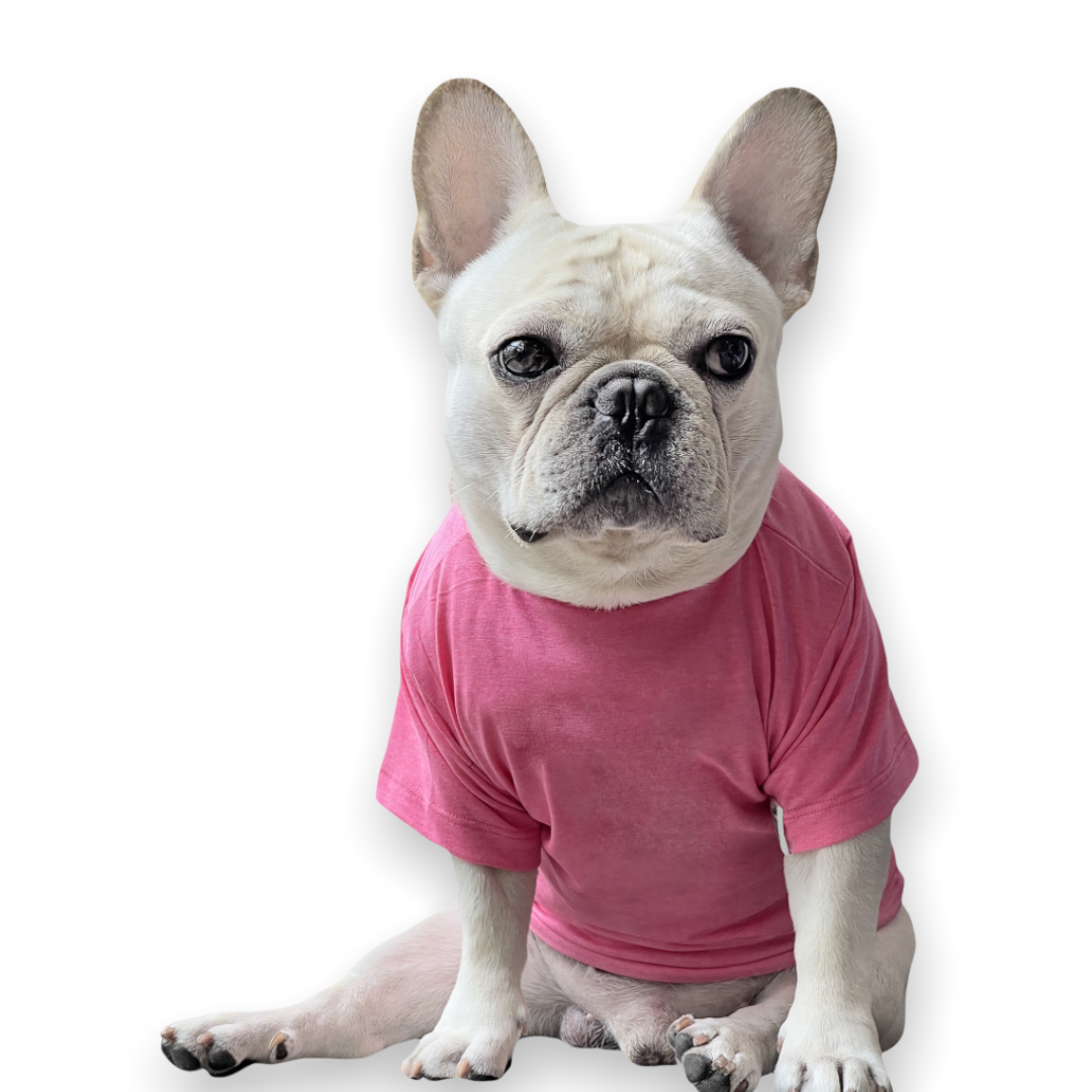 Pesky Pink Solid Dog Tee