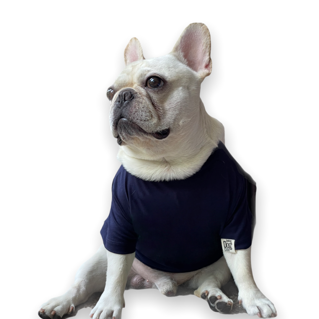 Gravy Navy Solid Dog Tee