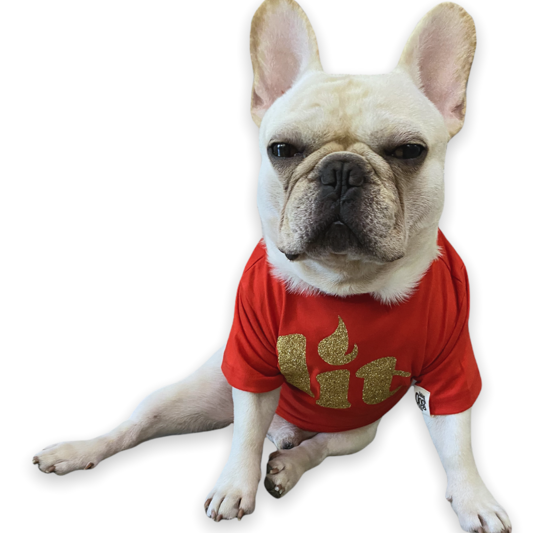 LIT Dog Tee
