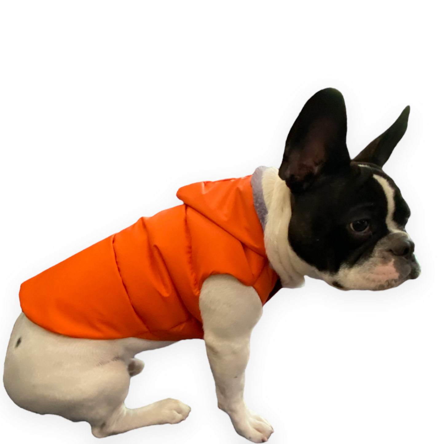 Hoodies - Orange BomberJacks