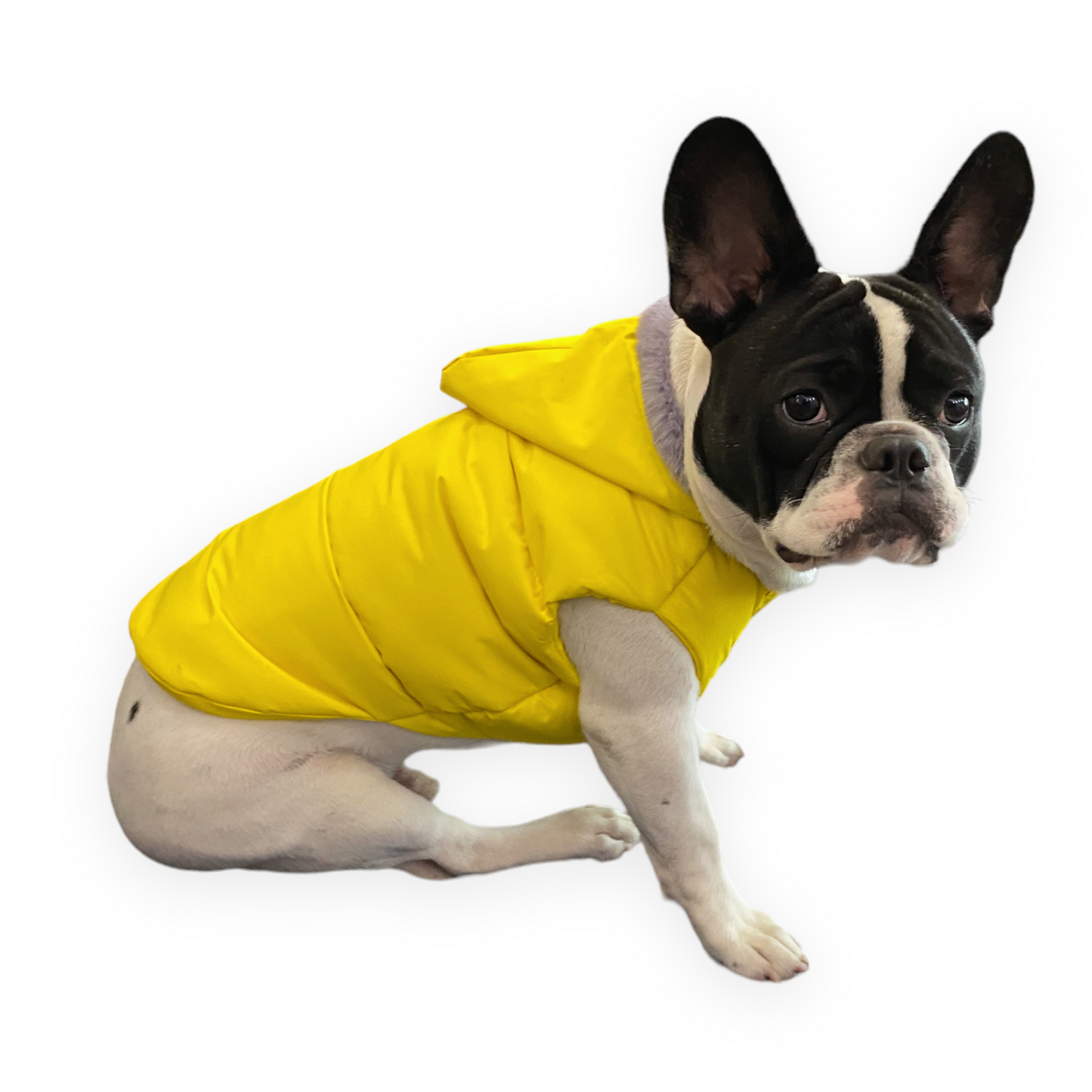 Hoodies - Yellow BomberJacks