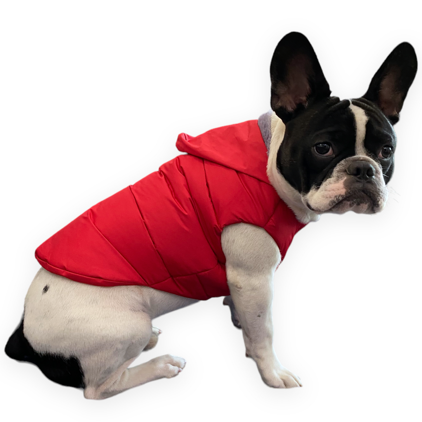Hoodies - Red BomberJacks