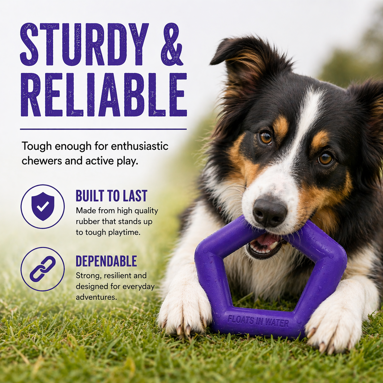 Sturdy - Hexagon Floater - Natural Rubber Toy