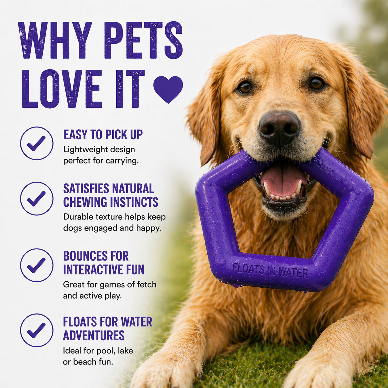 Sturdy - Hexagon Floater - Natural Rubber Toy