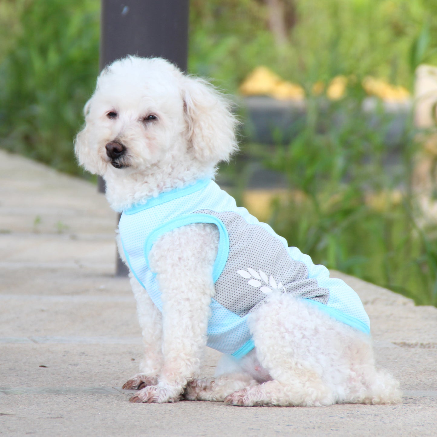 Coolios – Cooling Vests for Dogs - Blue