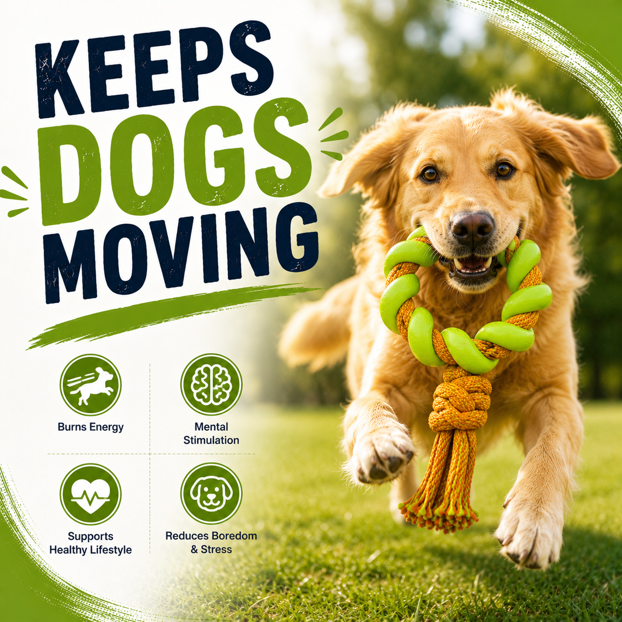 Loop Tug Rope – Durable TPR & Rope Tug Toy for Dogs