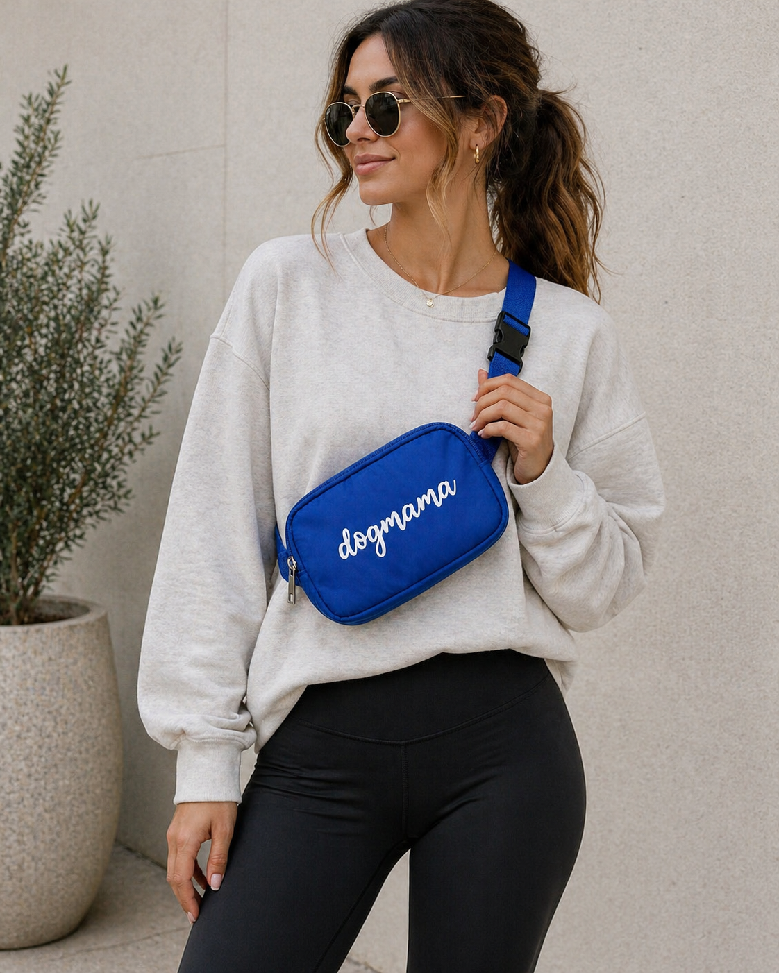 Dogmama Crossbody Treat & Walk Bag - Blue