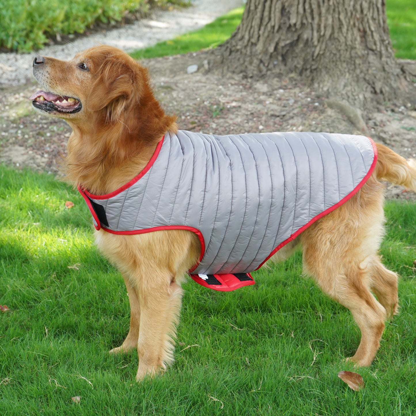Double Trouble Reversibles - Silver/ Red Jacket - For Large dogs