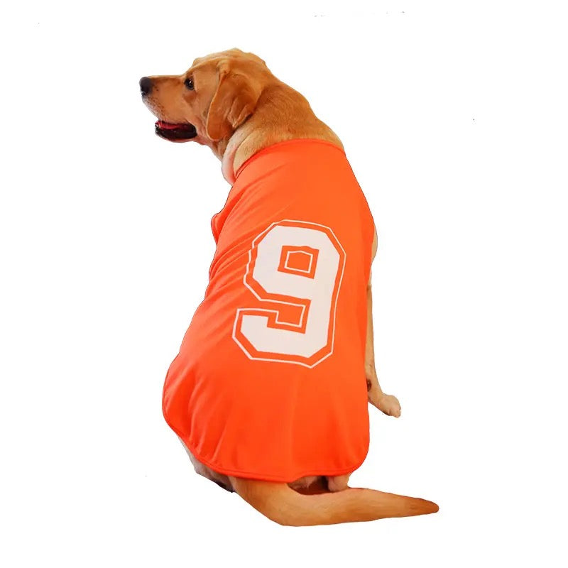Player – Ltd. Edition Sports Tees for Dogs - Orange