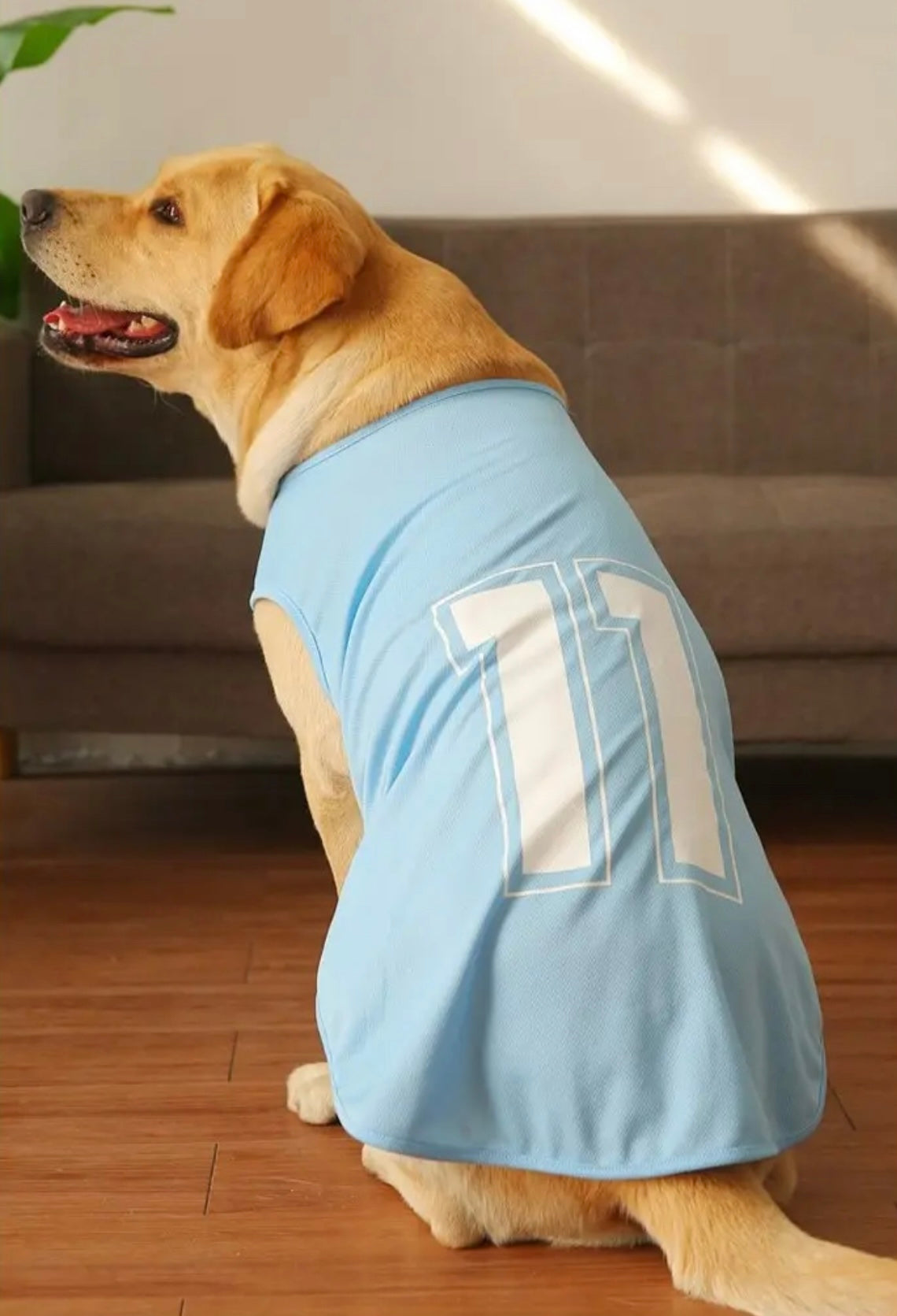 Player – Ltd. Edition Sports Tees for Dogs - Blue