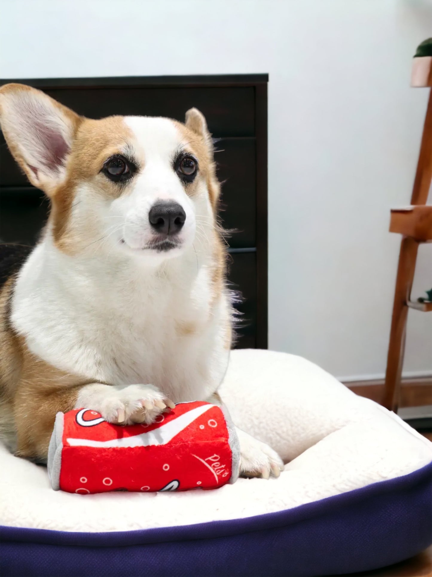 Pup Can Toy