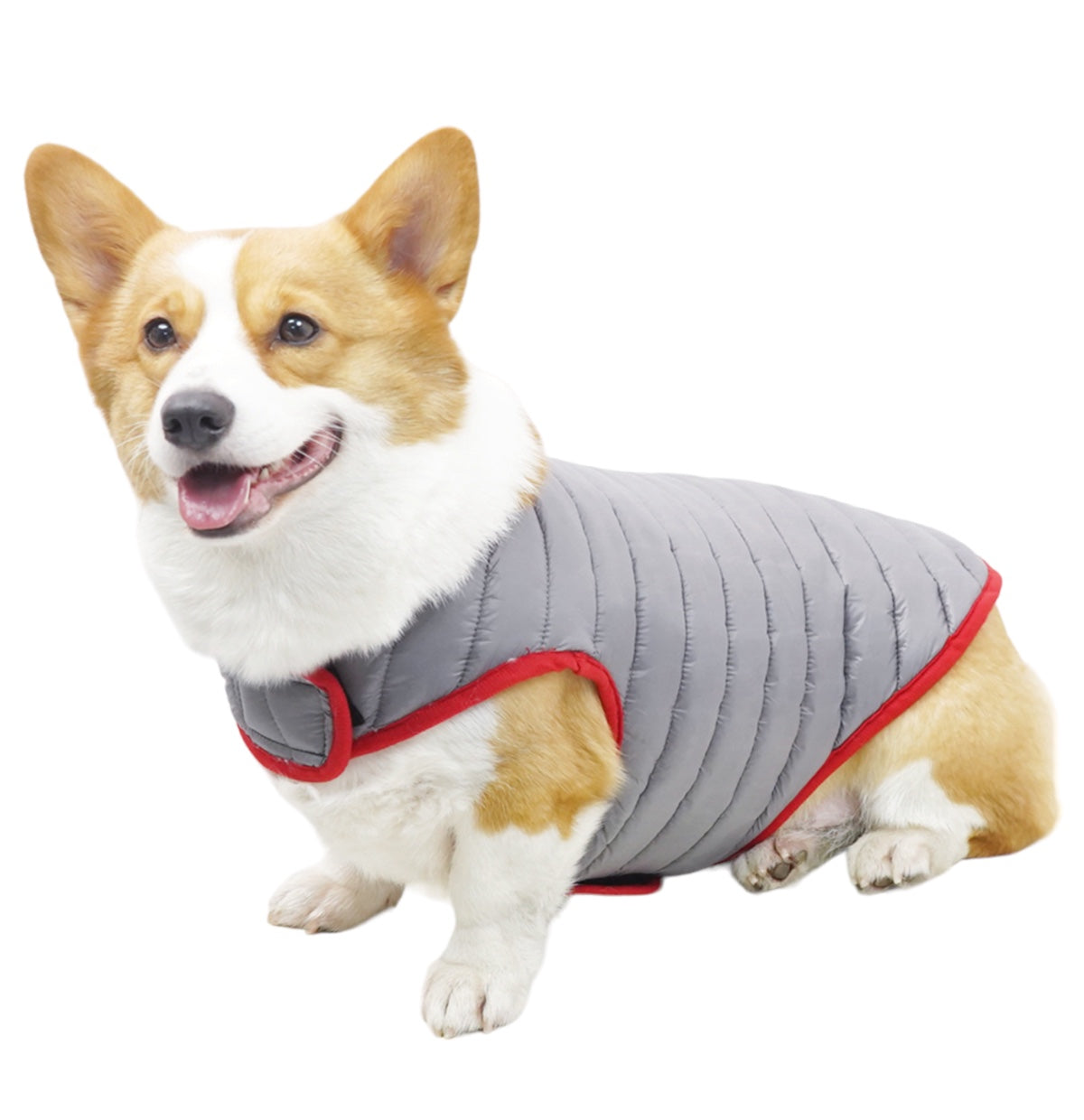 Double Trouble Reversibles - Silver/ Red Jacket - For Large dogs