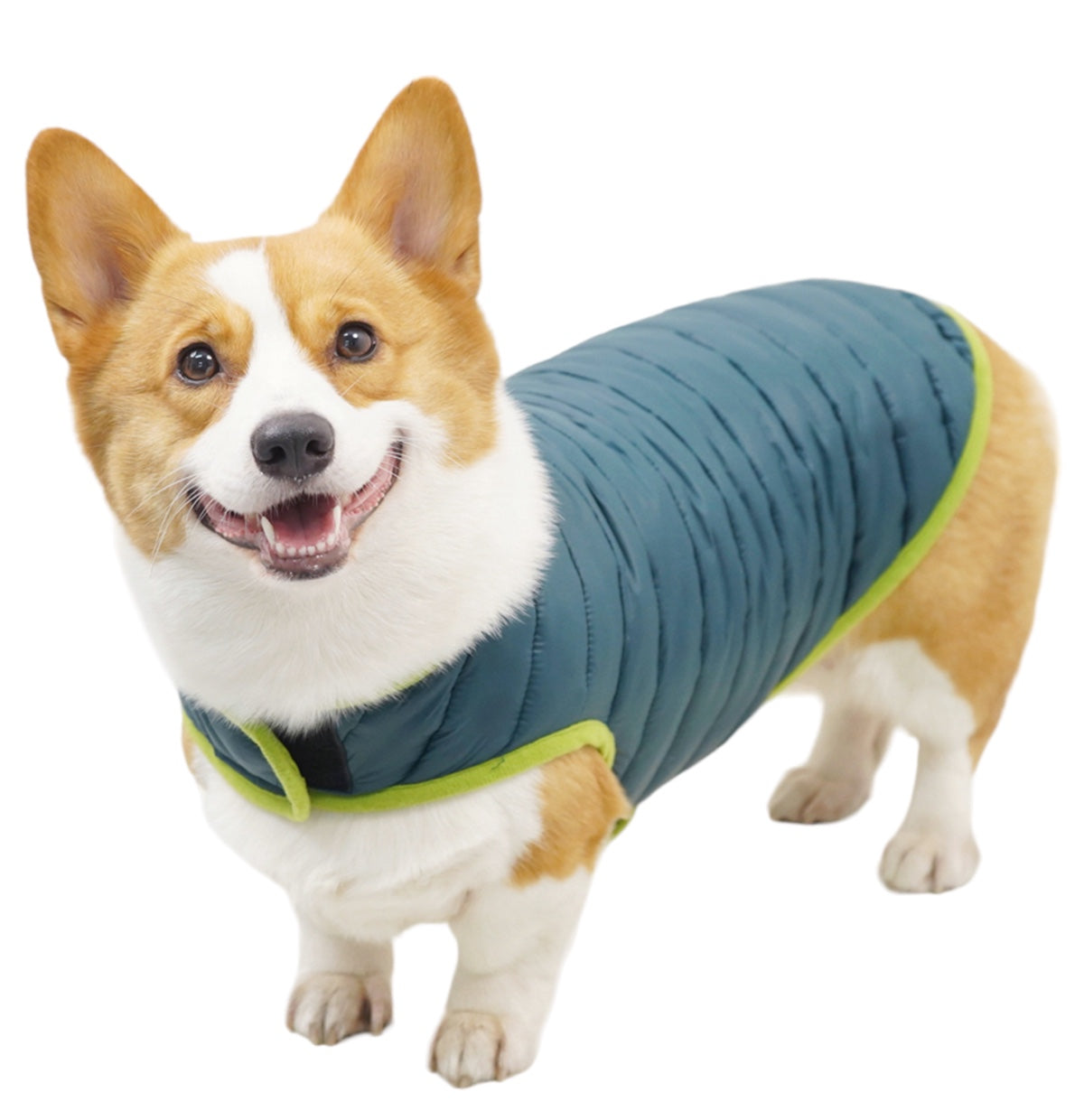 Double Trouble Reversibles - Green/ Blue Jacket - For Large Dogs