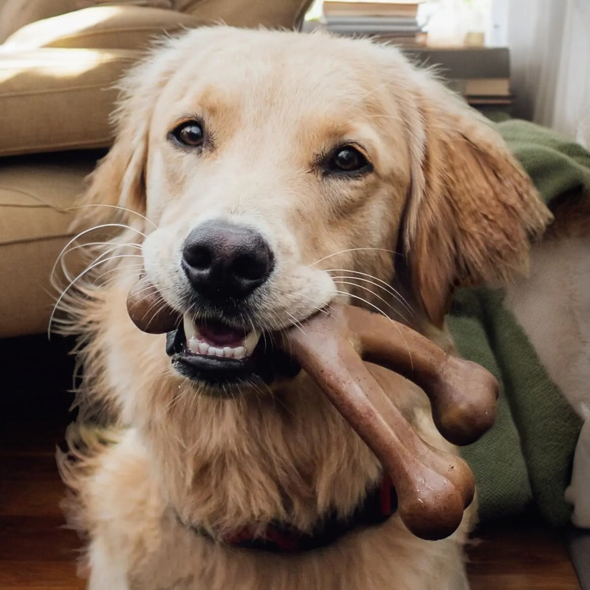 Wishbone Nylon Bone - Heavy Chew