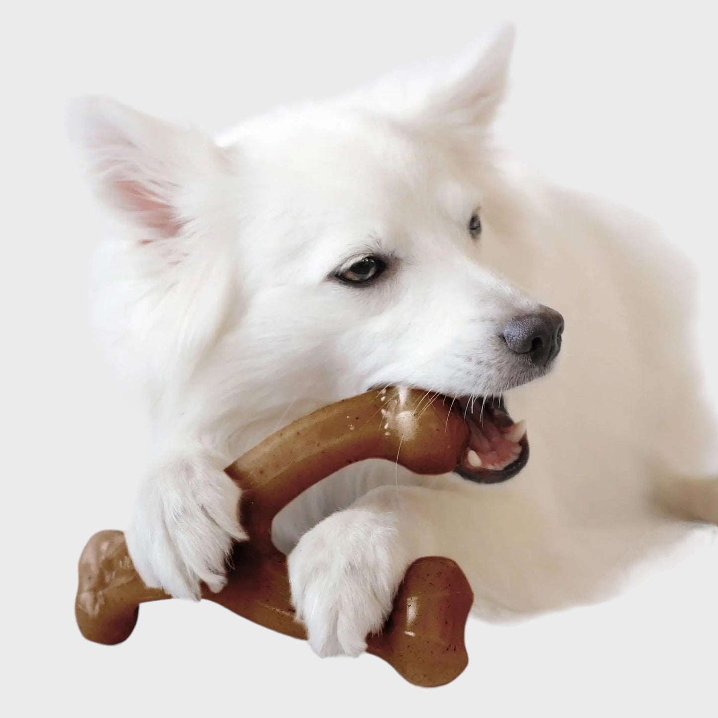 Wishbone Nylon Bone - Heavy Chew