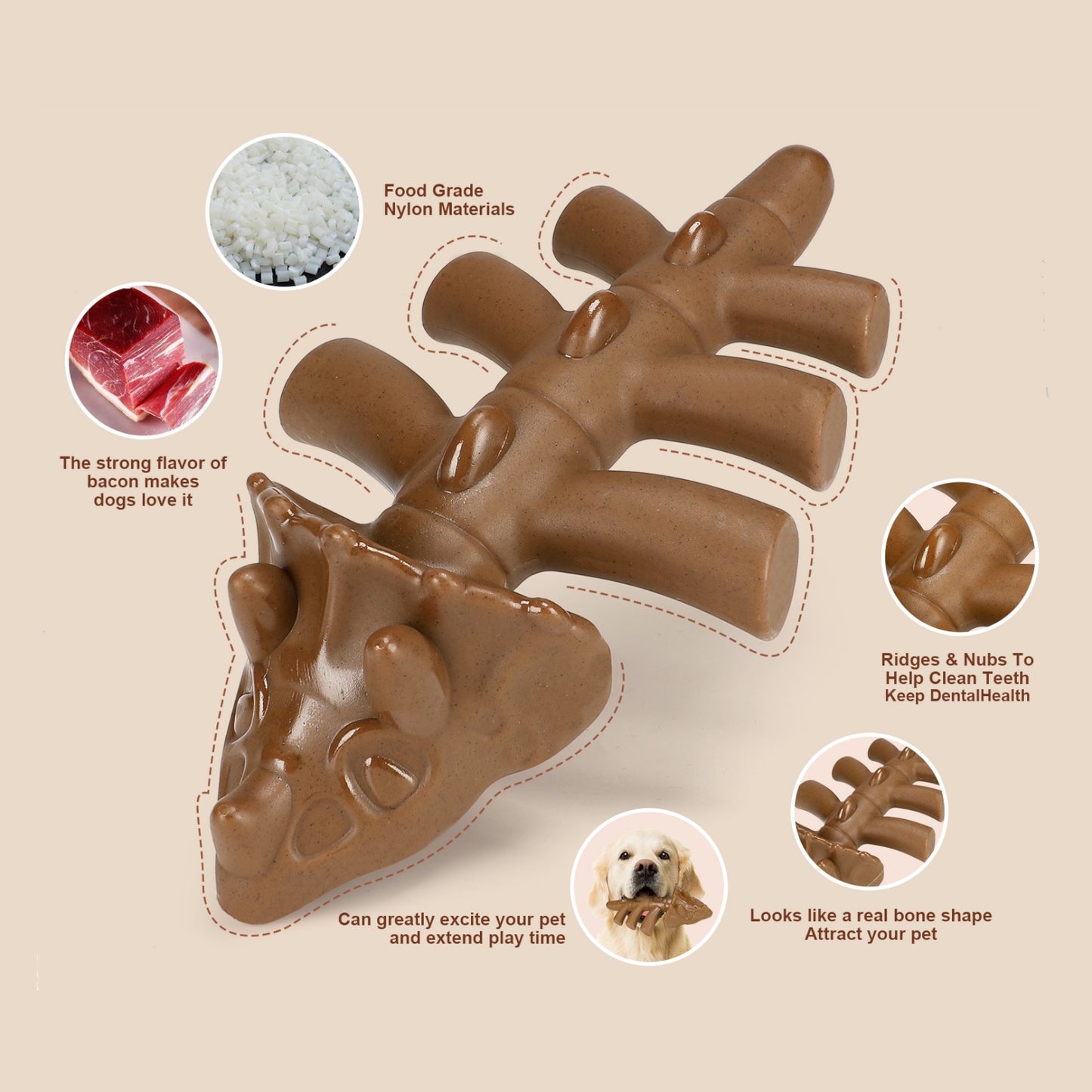 Dinosaur Nylon Bone - Heavy Chew