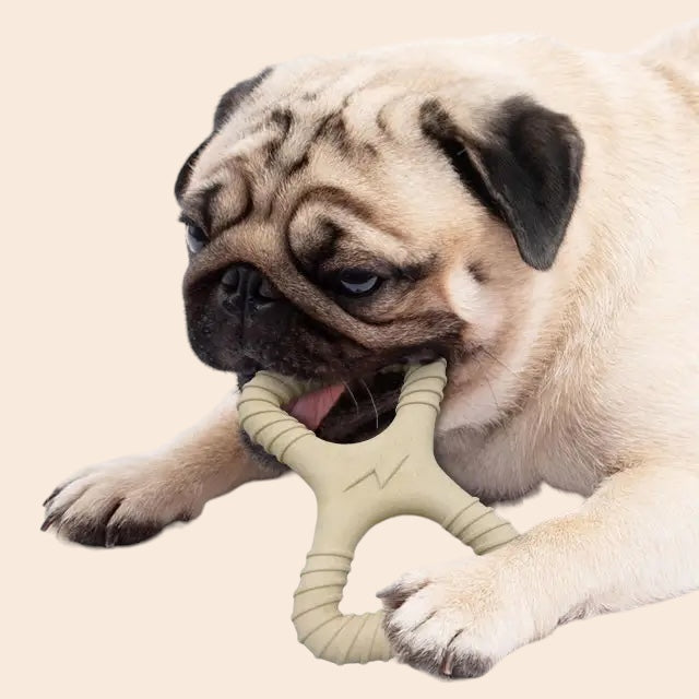 Infinity Nylon Bone - Heavy Chew