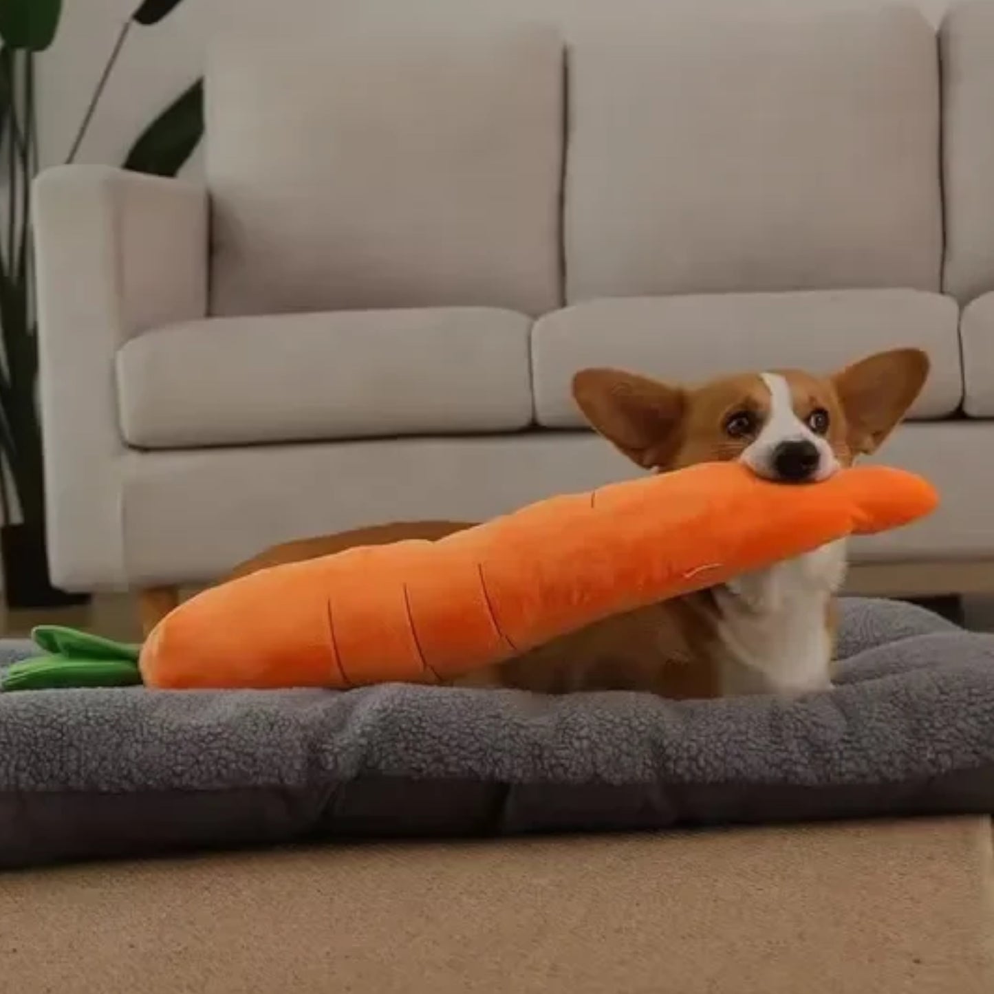 XL - Carrot Plush Toy