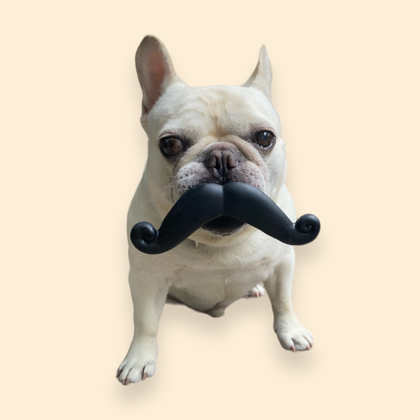 Moustache Funny Toy