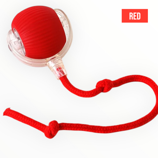 Talking Dog Club -Automatic Rotating Interactive Cat Ball with LED for Cats, Kittens and Puppies