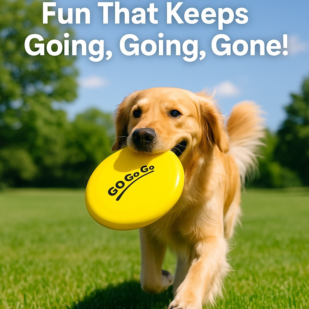 Pop Light Weight Frisbee