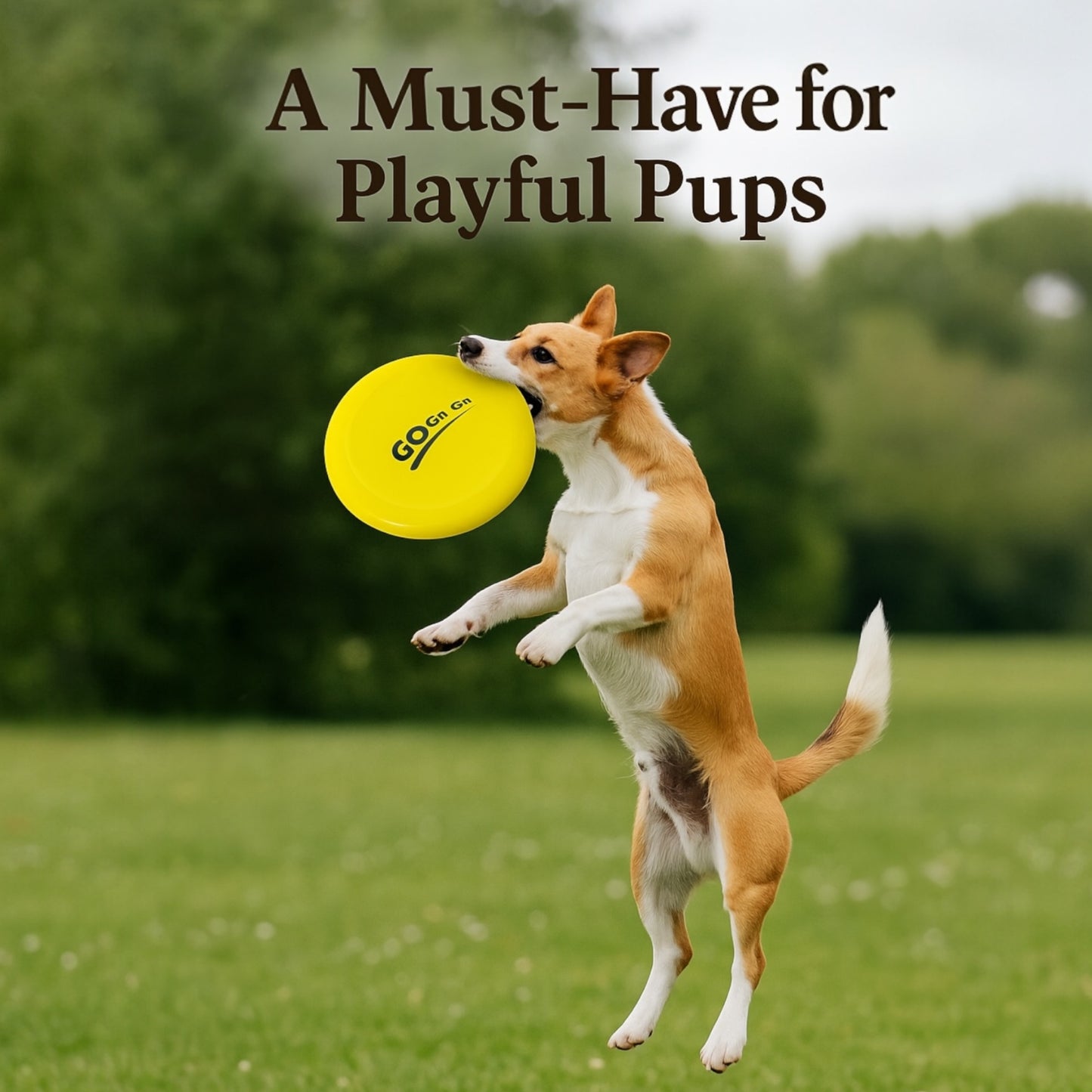 Pop Light Weight Frisbee