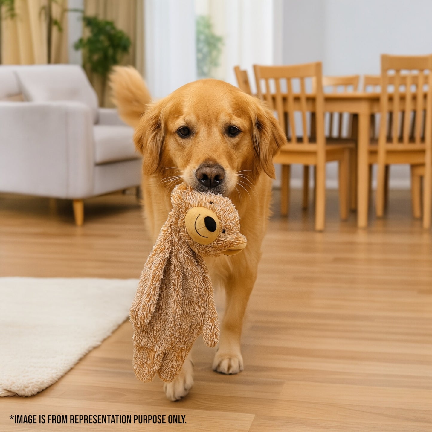 Teddy Bear Plush Crinkle Toy