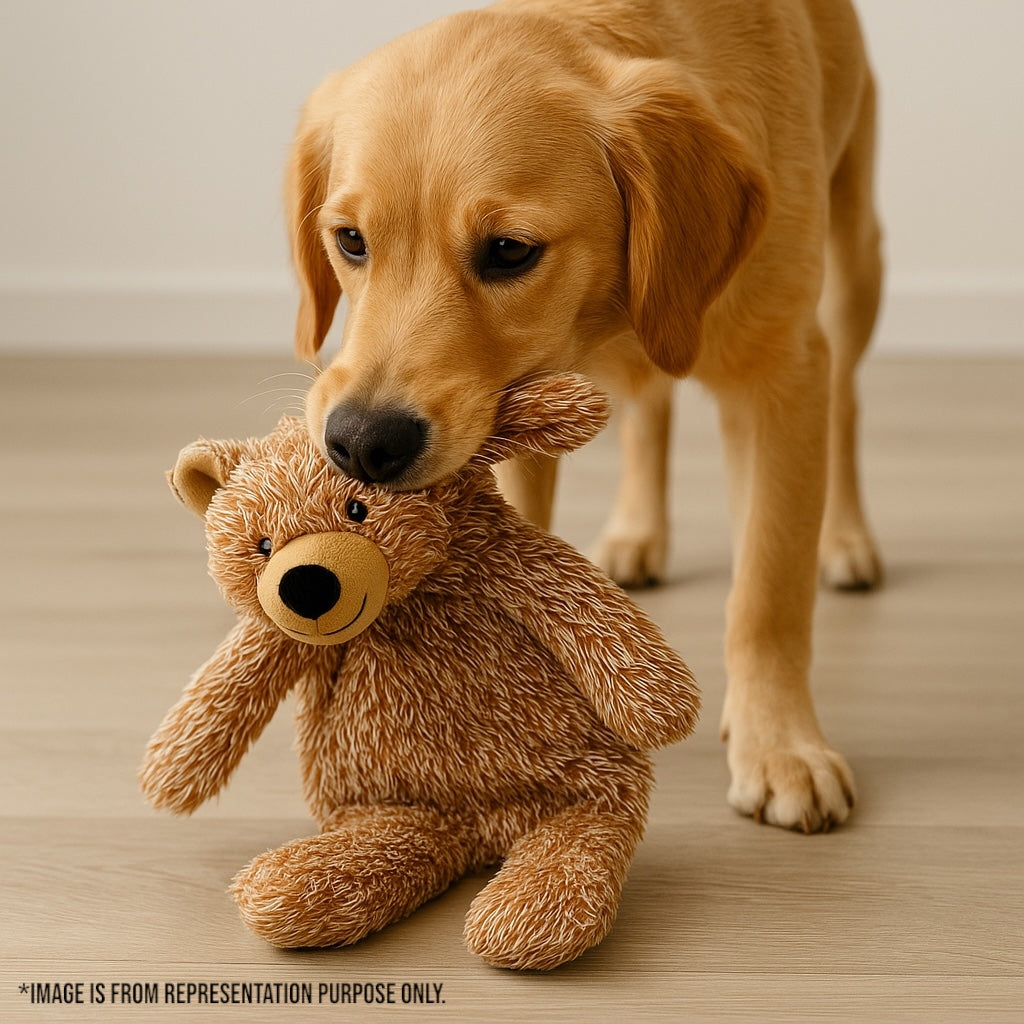 Teddy Bear Plush Crinkle Toy